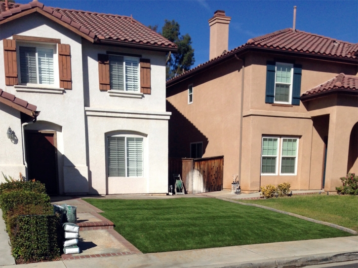 Artificial Grass Carpet Nevada City, California City Landscape, Front Yard Ideas