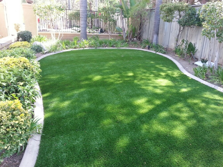 Artificial Grass Carpet Sunol, California Landscaping Business