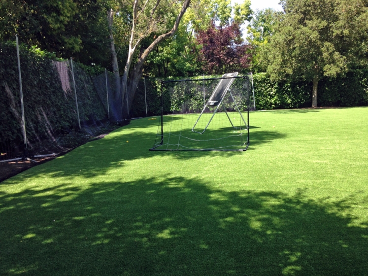 Artificial Grass Cherryland, California Garden Ideas, Backyard Ideas