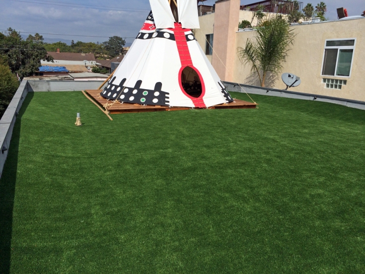 Artificial Grass Clarksburg, California Lawn And Garden, Veranda