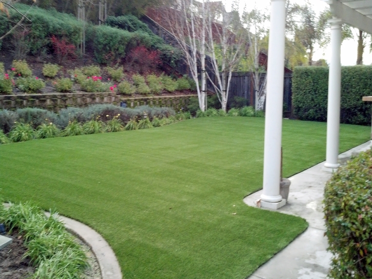 Artificial Grass Cobb, California Landscape Design, Backyard Ideas
