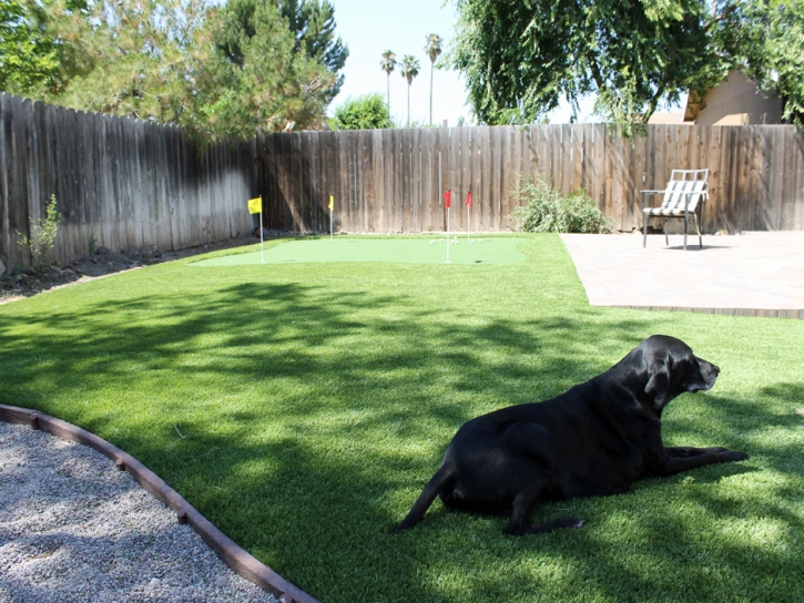 Artificial Grass Cotati, California Lawn And Landscape, Backyard Landscaping Ideas