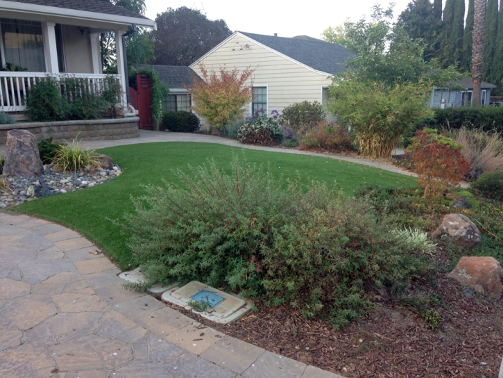 Artificial Grass Country Club, California Roof Top, Front Yard Landscape Ideas