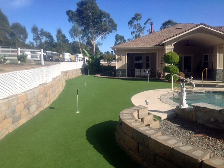 Artificial Grass Dunnigan, California Landscaping Business, Beautiful Backyards