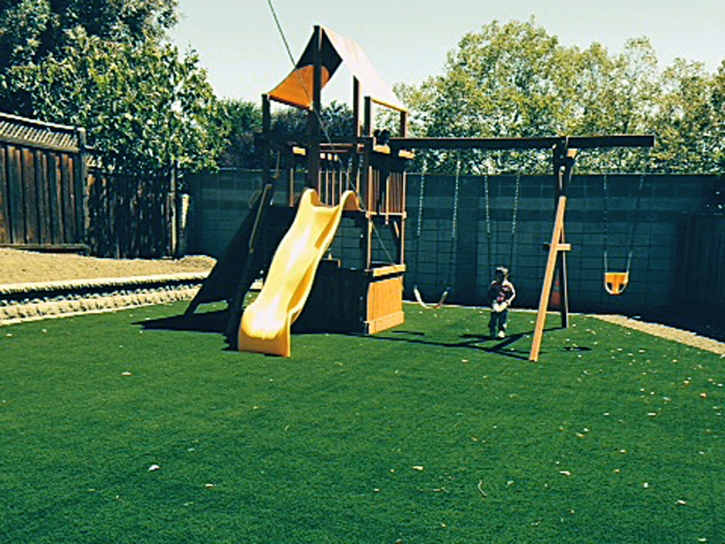 Artificial Grass Installation Kentfield, California Landscape Photos, Small Backyard Ideas