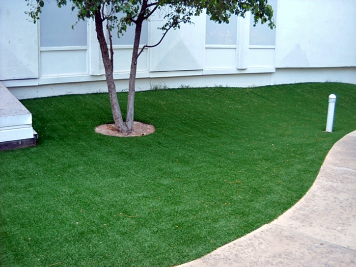 Artificial Grass Installation Laguna, California Landscaping Business, Commercial Landscape