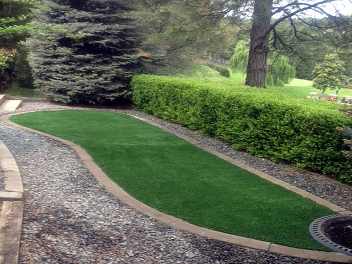 Artificial Grass Installation Wheatland, California Design Ideas