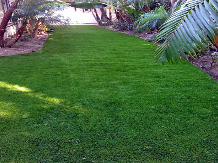 Artificial Grass Pollock Pines, California Lawn And Garden, Backyard Ideas