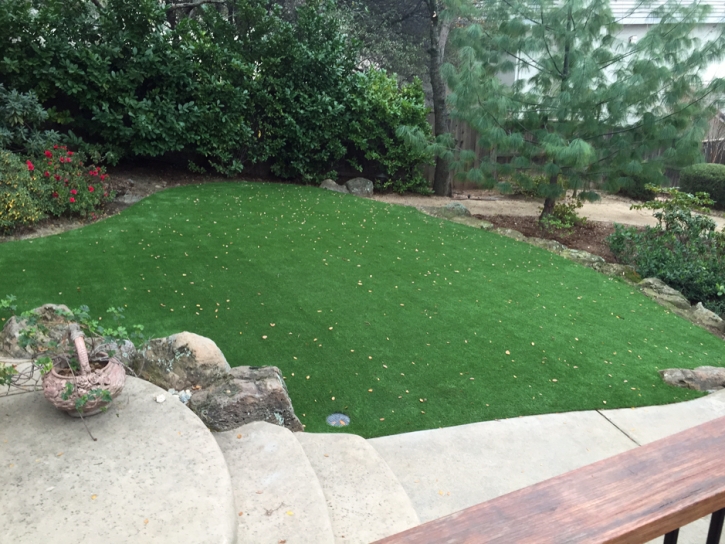 Artificial Grass Roseland, California Design Ideas, Backyard Design