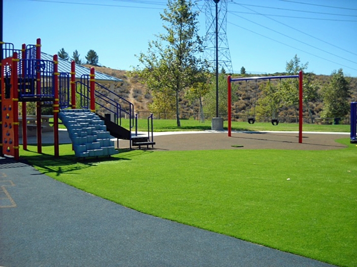 Artificial Grass Wallace, California Home And Garden, Parks