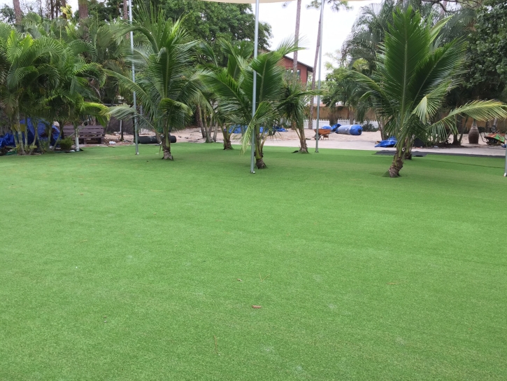 Artificial Grass Woodacre, California City Landscape, Commercial Landscape