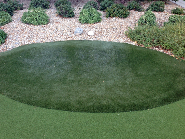 Artificial Lawn Calpine, California Office Putting Green