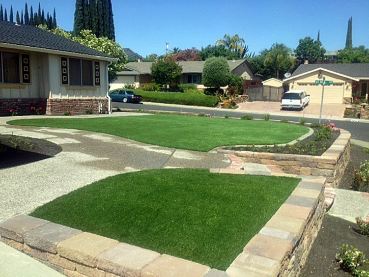 Artificial Lawn Cameron Park, California Backyard Deck Ideas
