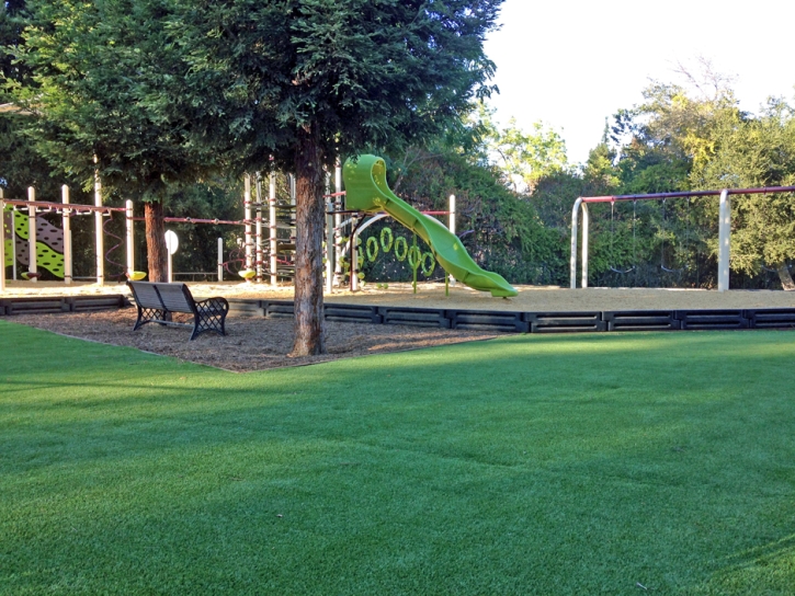 Artificial Lawn Farmington, California Landscape Photos, Parks