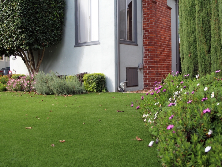 Artificial Lawn Hayward, California Landscaping, Front Yard