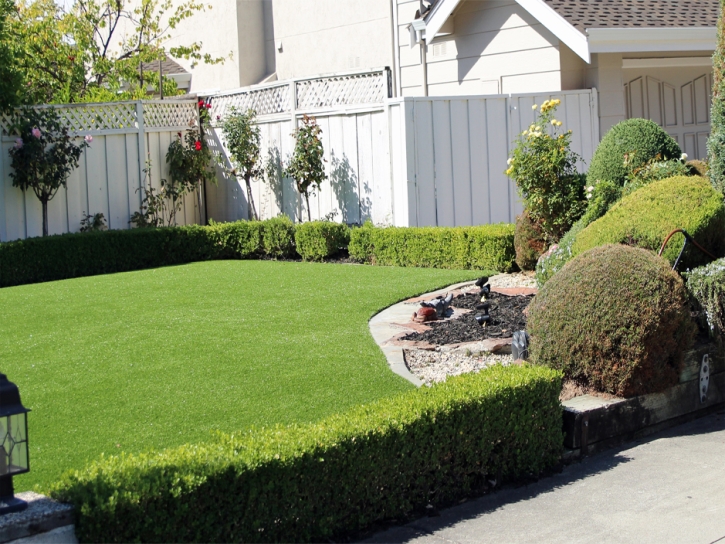 Artificial Lawn Martell, California Home And Garden, Front Yard