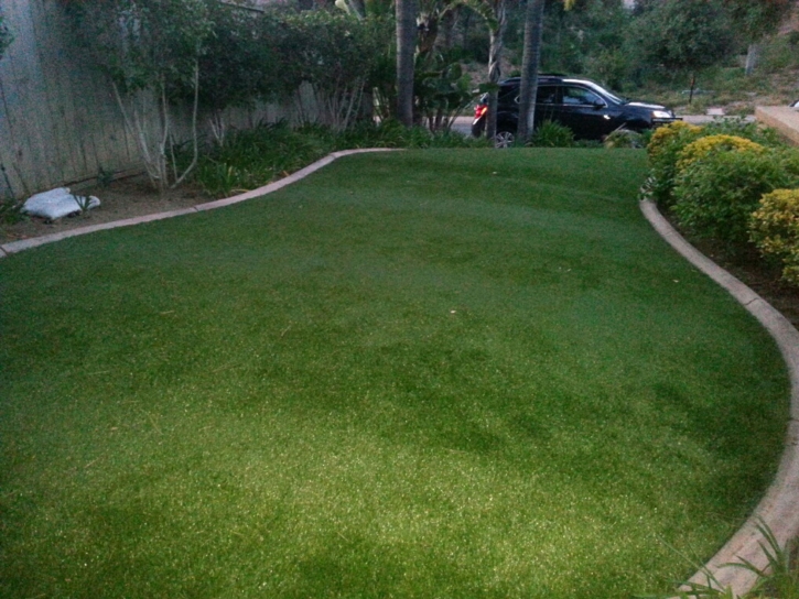 Artificial Lawn Mill Valley, California Home And Garden, Front Yard Landscape Ideas