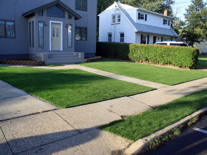 Artificial Lawn Thornton, California Landscape Photos, Front Yard Landscaping