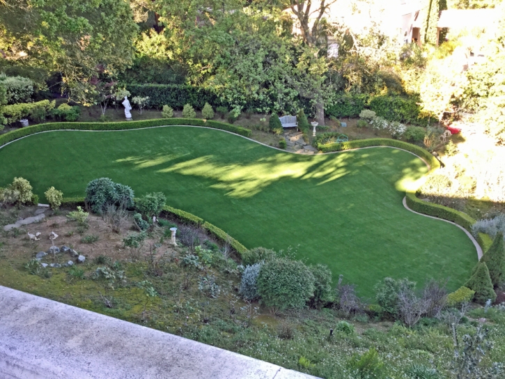 Artificial Turf Ashland, California Backyard Playground, Backyard