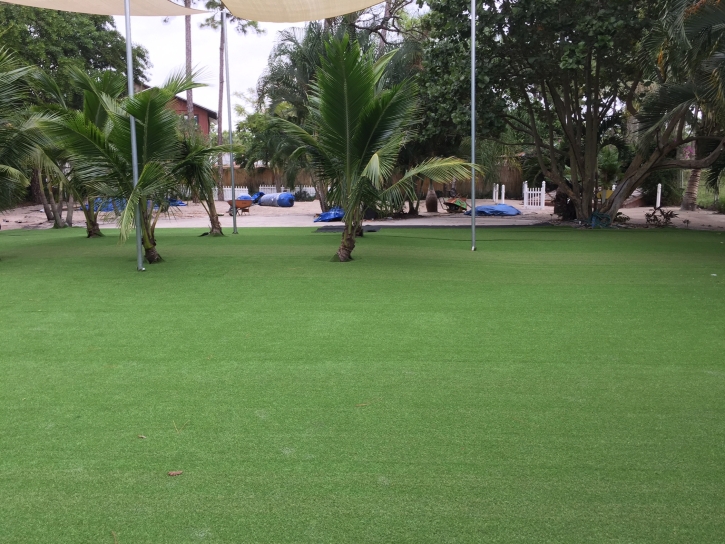 Artificial Turf Cost Belvedere, California Lawns, Commercial Landscape