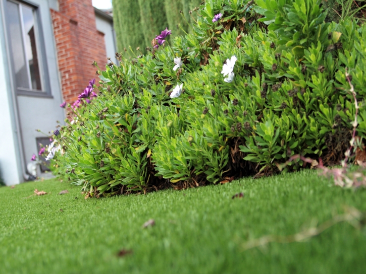 Artificial Turf Cost Colfax, California Backyard Playground, Landscaping Ideas For Front Yard