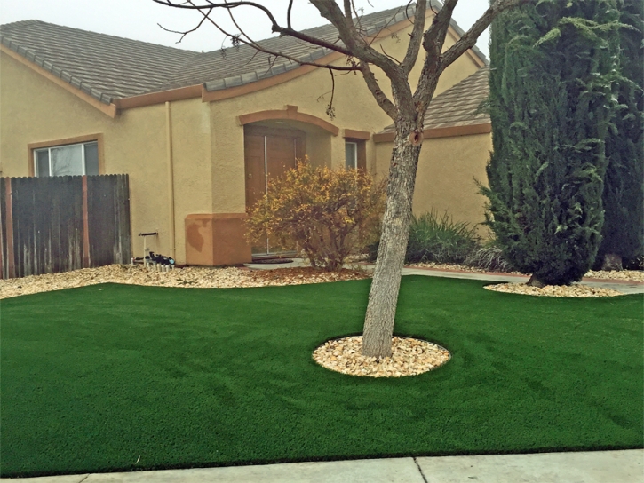 Artificial Turf Cost Dorrington, California Design Ideas, Front Yard Design