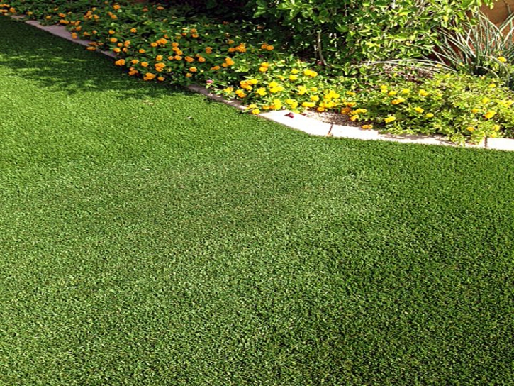 Artificial Turf Cost El Dorado Hills, California Roof Top, Front Yard Landscape Ideas
