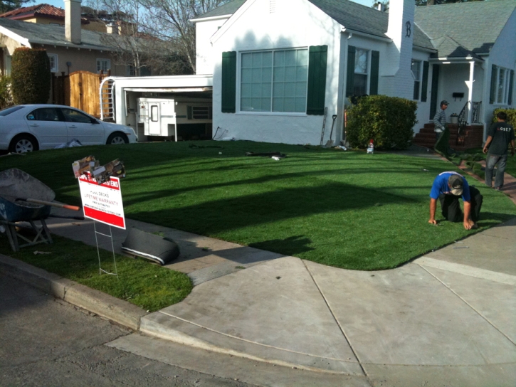 Artificial Turf Cost Rosemont, California Gardeners, Front Yard Landscaping