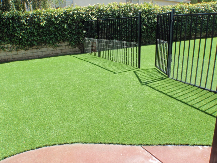 Artificial Turf Escalon, California Fake Grass For Dogs, Front Yard Landscape Ideas