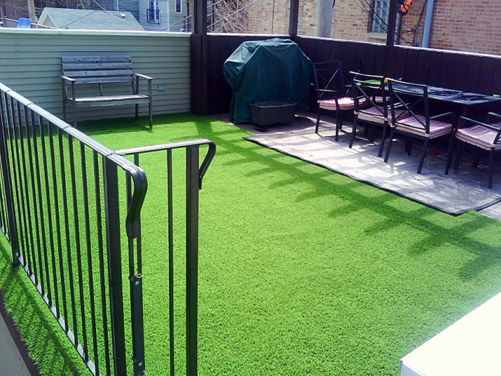 Artificial Turf Installation Arbuckle, California Hotel For Dogs, Backyard Makeover