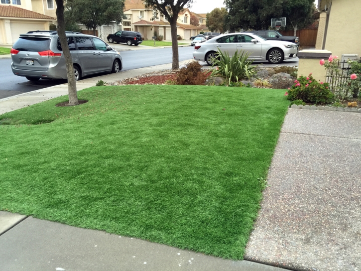 Artificial Turf Installation Clayton, California Landscape Photos, Small Front Yard Landscaping