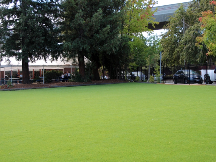 Artificial Turf Installation Hillsborough, California Roof Top, Commercial Landscape