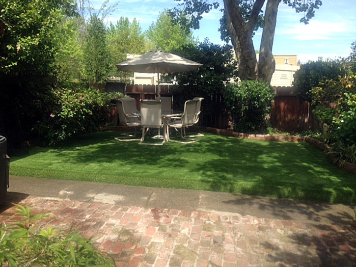 Artificial Turf Installation Isleton, California Design Ideas, Backyard