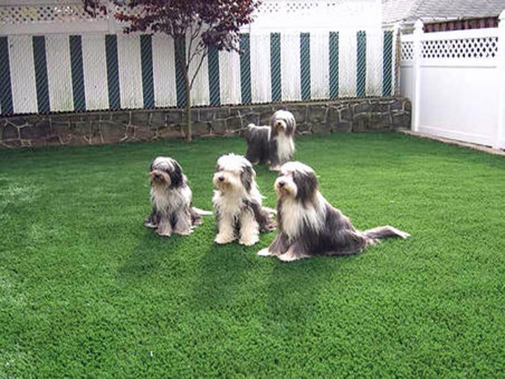 Artificial Turf Installation Kings Beach, California Lawns, Backyard Design