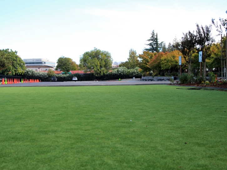 Artificial Turf Installation North Fair Oaks, California Landscape Photos