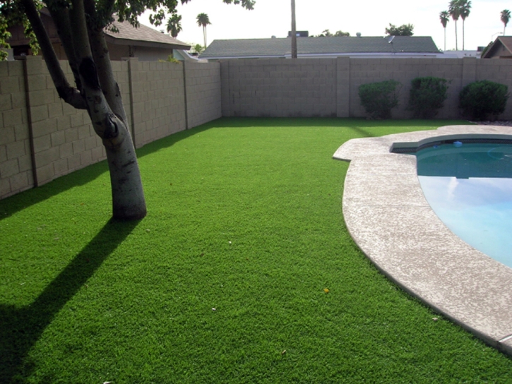 Artificial Turf Installation Occidental, California Roof Top, Backyard Landscaping Ideas