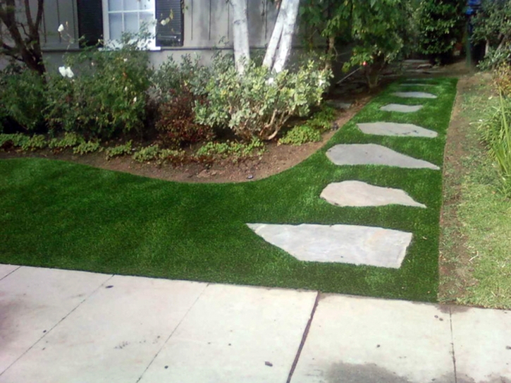 Artificial Turf Robbins, California Landscape Ideas, Landscaping Ideas For Front Yard