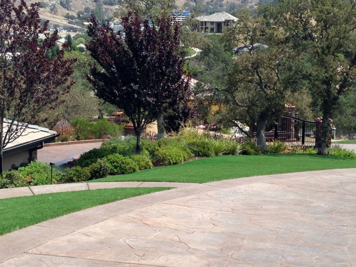 Best Artificial Grass Buena Vista, California Landscaping Business, Front Yard Landscaping