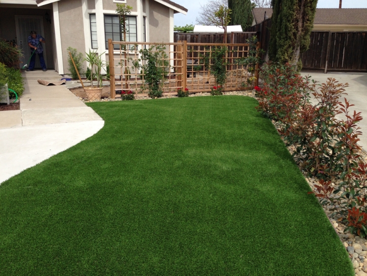 Best Artificial Grass Columbia, California Landscaping, Front Yard Landscaping Ideas
