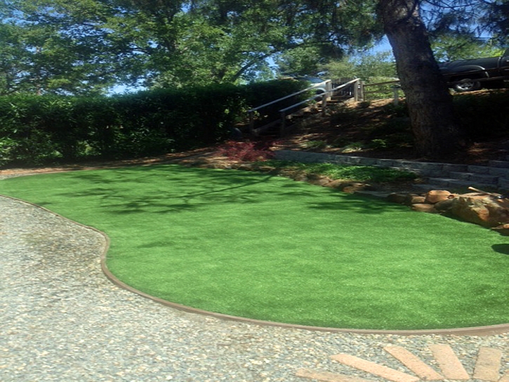 Best Artificial Grass Newcastle, California Landscape Photos, Backyard