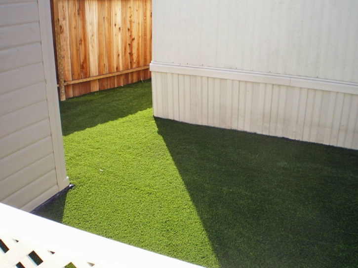 Best Artificial Grass Rough and Ready, California Drainage, Backyard Design