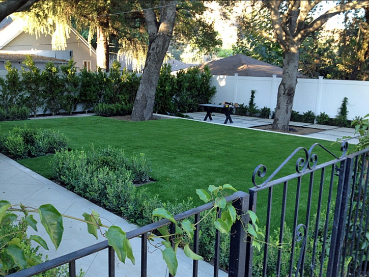 Best Artificial Grass Rutherford, California Backyard Playground, Front Yard Landscape Ideas