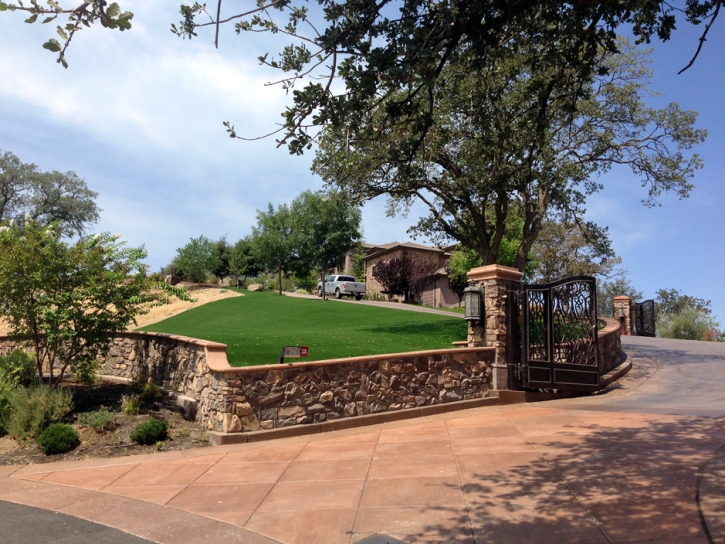 Fake Grass Burbank, California Landscape Ideas, Front Yard Design