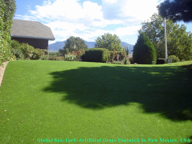 Fake Grass Carpet Florin, California Drainage, Backyard Landscaping