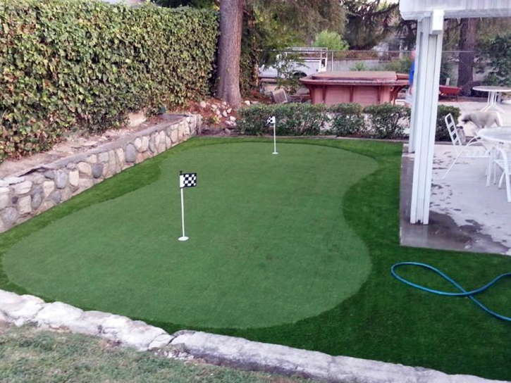 Fake Grass Carpet Forest Ranch, California Paver Patio, Backyard Landscaping Ideas