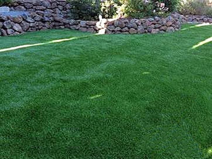 Fake Grass Carpet Sebastopol, California Pet Paradise, Backyard Designs