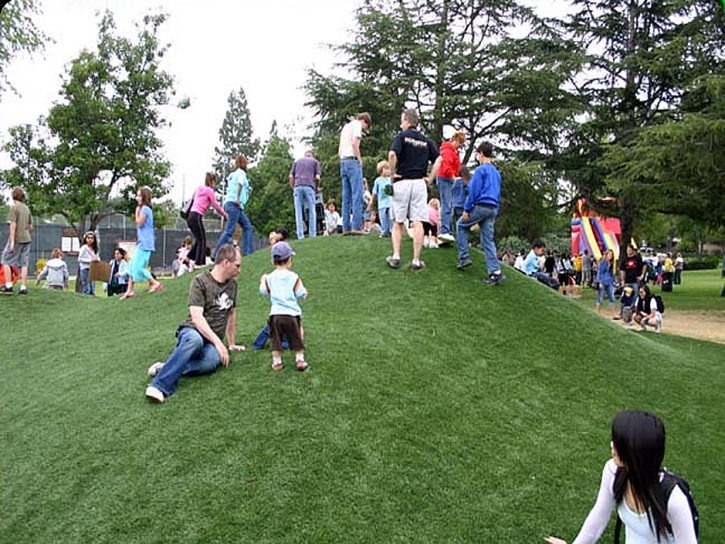 Fake Grass Carpet Sierra Village, California Kids Indoor Playground, Recreational Areas