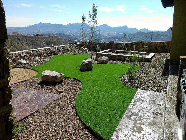 Fake Grass Carpet Sunol, California Garden Ideas, Backyard Landscaping Ideas