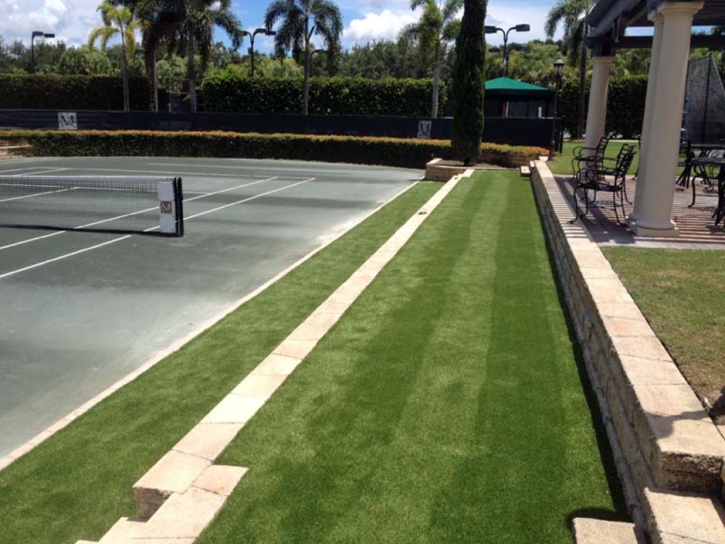 Fake Grass Carpet Vine Hill, California Landscape Ideas, Commercial Landscape