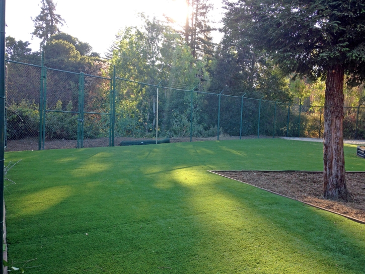 Fake Grass Fetters Hot Springs-Agua Caliente, California Backyard Playground, Parks